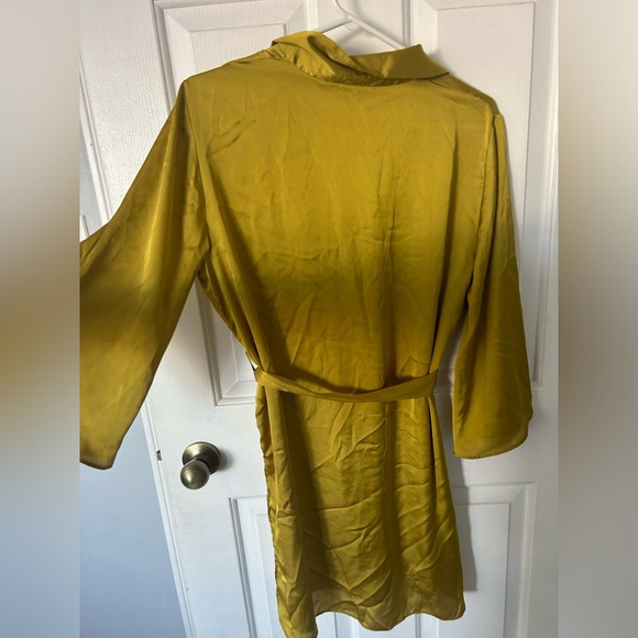 Zara Dress - Picture 4 of 4